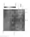 Fig. 08 - High pressure soft lithography for micro-topographical patterning of molded polymers and composites