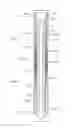 Fig. 02 - Resin system for composite downhole frac plug and bridge plug tools and related methods