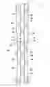 Fig. 01 - Dual magnetic sensor actuation assembly