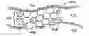 Fig. 01 - Encapsulated proppants