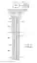 Fig. 02 - Double compression set packer