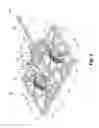 Fig. 02 - Symmetrical brush pattern groomer with integrated spring tine rake