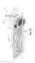 Fig. 07 - Symmetrical brush pattern groomer with integrated spring tine rake