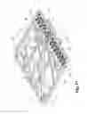 Fig. 08 - Symmetrical brush pattern groomer with integrated spring tine rake