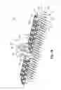 Fig. 09 - Symmetrical brush pattern groomer with integrated spring tine rake