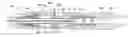 Fig. 01 - Underreamer for increasing a wellbore diameter