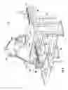 Fig. 02 - Continuous Motion Article Arranging Systems and Methods