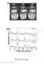 Fig. 04 - Controllable reductive method for synthesizing metal-containing particles
