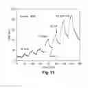 Fig. 09 - MINIATURIZED GAS SENSOR DEVICE AND METHOD