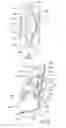 Fig. 04 - PACKAGING AND KIT FOR WINDSHIELD WIPERS AND WINDSHIELD WIPER ACCESSORIES