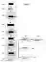 Fig. 04 - Cannulas, Collars for Implantable Devices, and Corresponding Systems and Methods