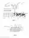 Fig. 02 - Method for forming perforated graphene with uniform aperture size