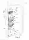Fig. 02 - STANDING SHOWER CADDY