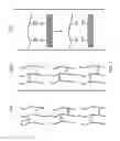 Fig. 02 - Degradable neutral layers for block copolymer lithography applications