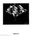 Fig. 09 - Methods of polishing sapphire surfaces