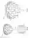 Fig. 10 - HEATER COVERS AND METHODS OF USING THE SAME