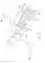 Fig. 09 - CONTROLS