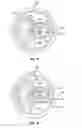 Fig. 09 - Beverage can end with vent port