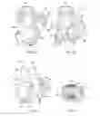 Fig. 12 - System and method of use for dispensing liquids from a container