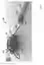 Fig. 04 - Holder for writing instruments