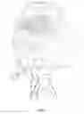 Fig. 07 - Fire Gigga Bubble