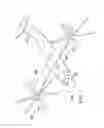 Fig. 02 - Spindle mounted tiltrotor pylon with fixed engine arrangement