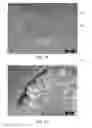 Fig. 03 - Nanoferrite flakes