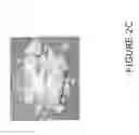 Fig. 07 - COMPOSITION FOR MINERAL SUPPLEMENT ANTICAKING AND DUST CONTROL