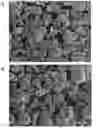 Fig. 01 - Composite cathode materials having improved cycle life