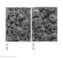 Fig. 04 - Composite cathode materials having improved cycle life