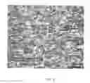Fig. 07 - WATER VAPOR BARRIER COMPOSITION