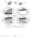Fig. 06 - Concentric forster resonance energy transfer relay for the parallel detection of two bio/physicochemical process