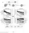 Fig. 08 - Concentric forster resonance energy transfer relay for the parallel detection of two bio/physicochemical process