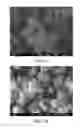 Fig. 03 - Light emitting diode