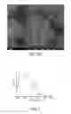 Fig. 04 - Light emitting diode