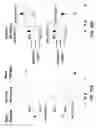 Fig. 45 - Broadband image sensor and manufacturing thereof