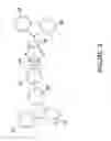 Fig. 04 - Organic electroluminescent materials and devices