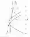 Fig. 05 - Phosphors for warm white emitters