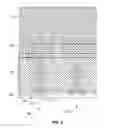 Fig. 09 - Chemical sensor with sidewall sensor surface