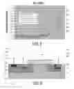 Fig. 04 - Semiconductor device having reduced leakage current at breakdown and method of fabricating thereof