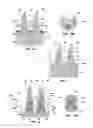 Fig. 05 - Methods of forming doped elements of semiconductor device structures