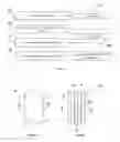 Fig. 06 - Corneal implant systems and methods