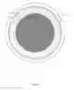Fig. 22 - Thin-walled implant structures and related methods