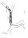 Fig. 197 - Non-cylindrical mandrels