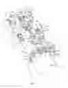 Fig. 02 - Snow rider