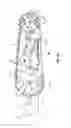Fig. 02 - Line derailleur