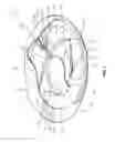 Fig. 06 - Airbag with deflector