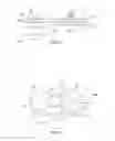 Fig. 04 - Wind powered electrical generator having a variable speed clutch arrangement