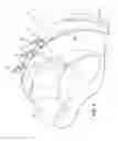 Fig. 07 - CUTTER HEAD FOR LONGWALL SHEARER