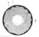 Fig. 06 - Centrifugal heat dissipation device and motor using same
